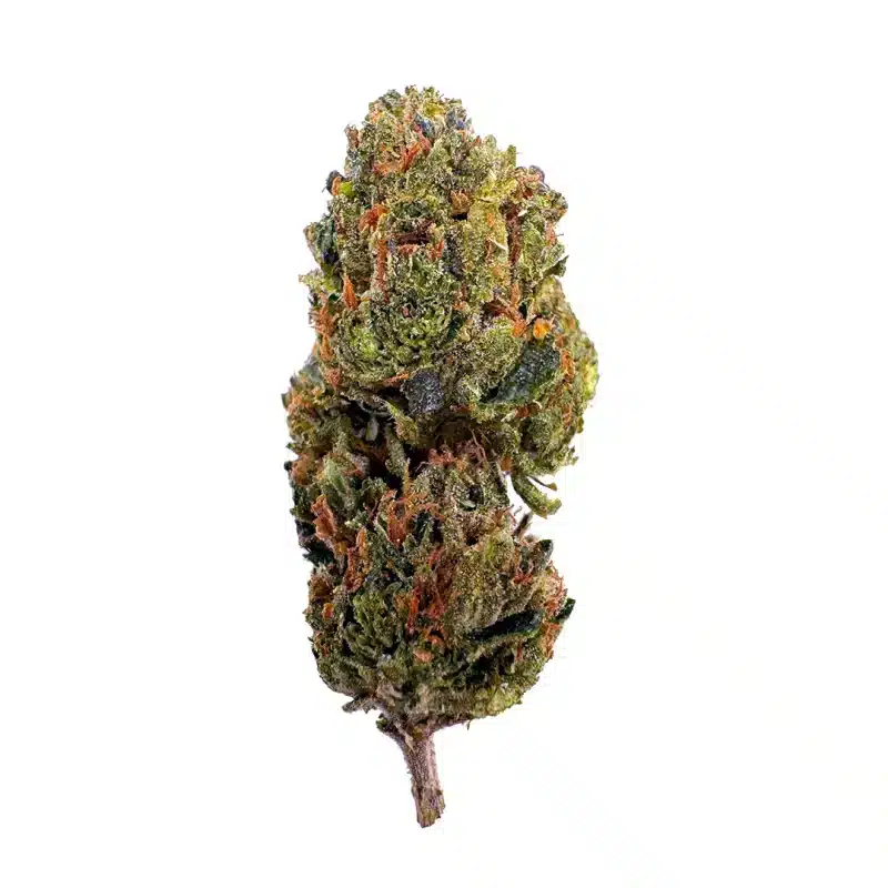 a close up of a thca flower super boof strain