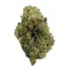 blue cookies strain hemp flower