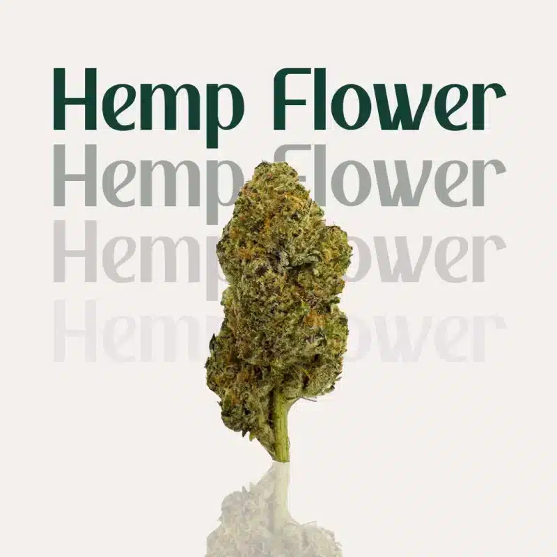 THCp Flower