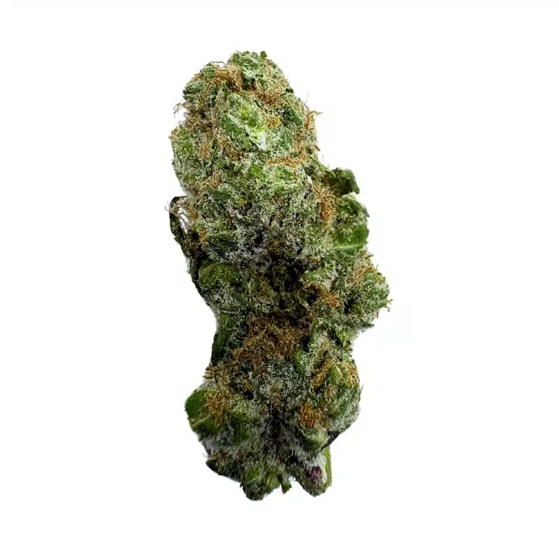 Mendo Purps