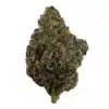 Black Mamba - Top Shelf Indoor