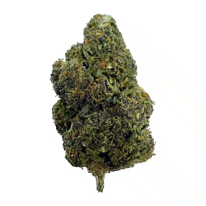 Pablo's Revenge - Top Shelf Indoor