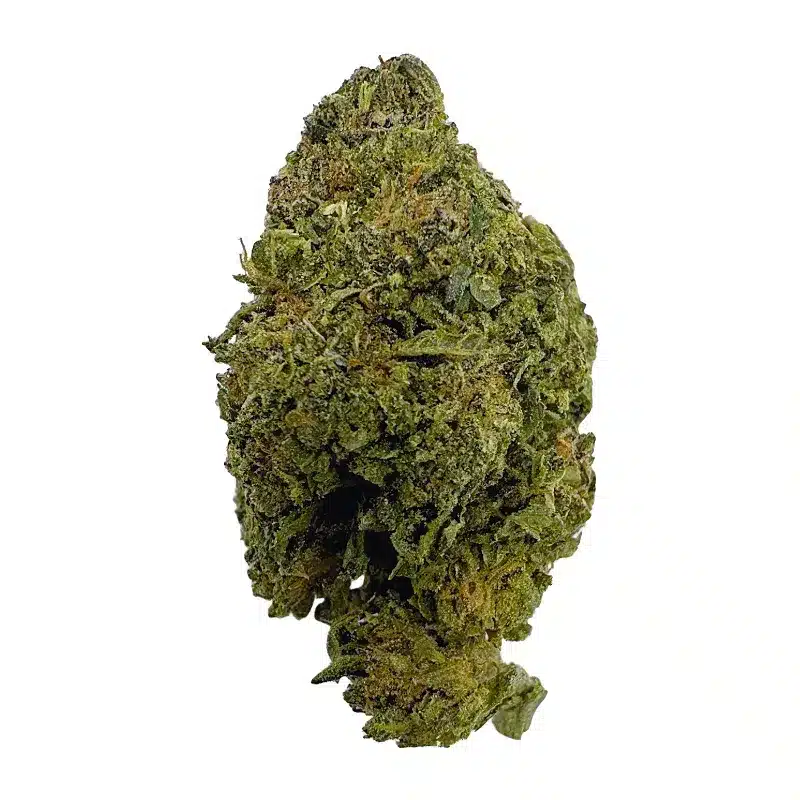 Purple Punch